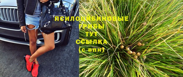 хмурый Пестово