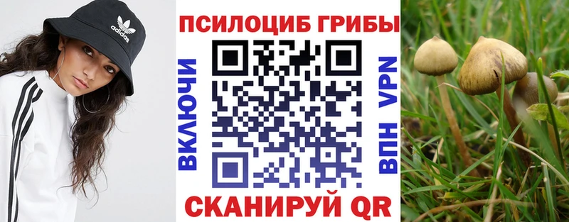 Псилоцибиновые грибы MAGIC MUSHROOMS  ОМГ ОМГ tor  Плёс 